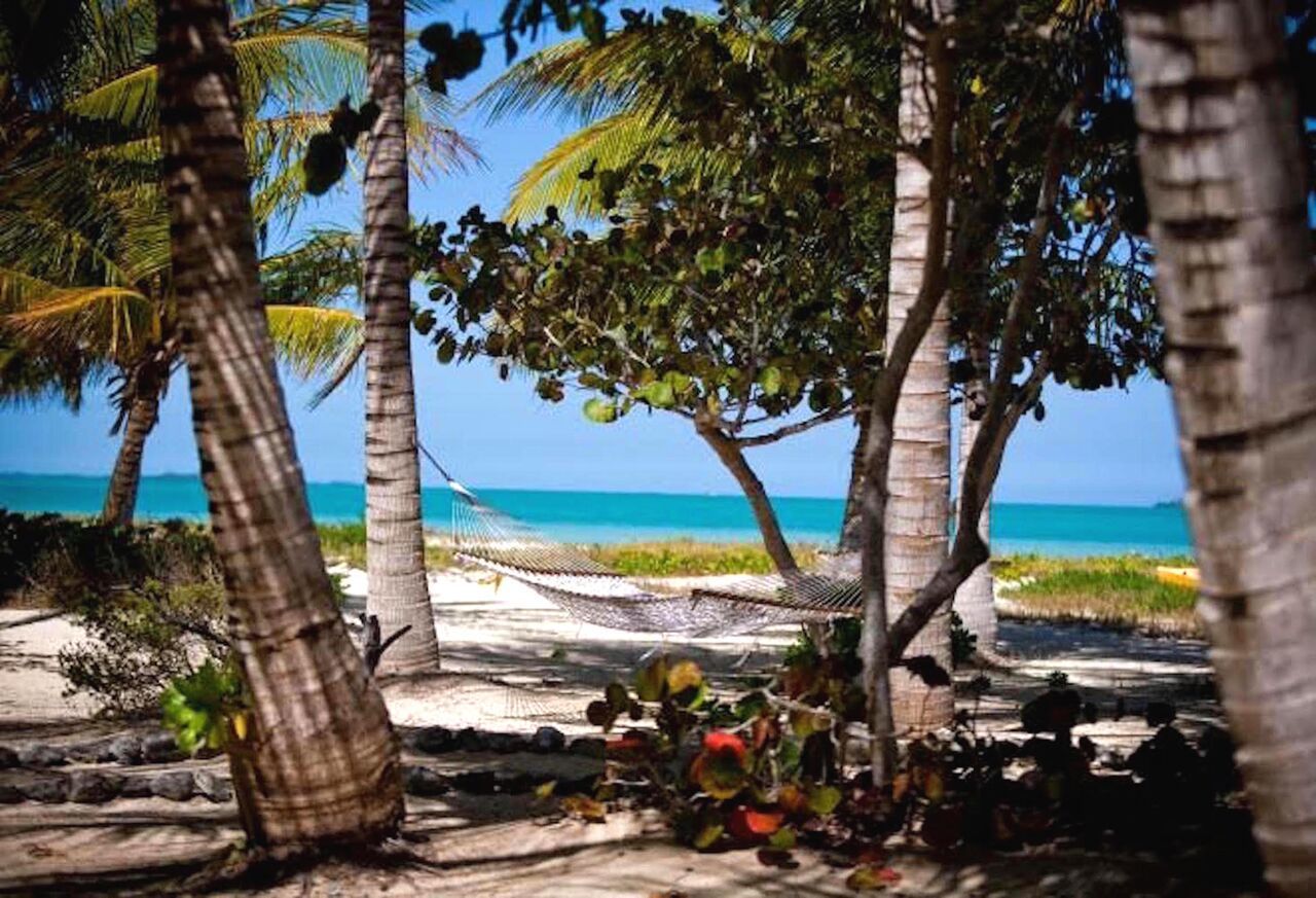 Kamalame Cay Hotel Staniard Creek Exterior foto